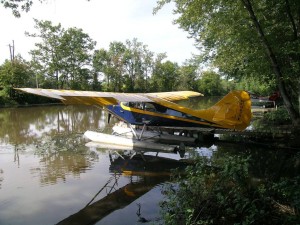 CHIEF.jpg (155.48 KiB) Viewed 5170 times Baby